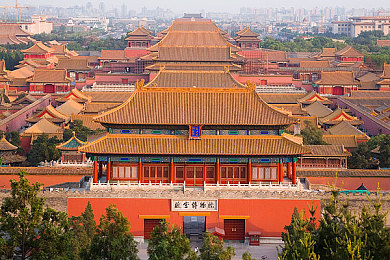 天天干人人干,工作狂潮背后的真相：揭秘“天天干人人干”