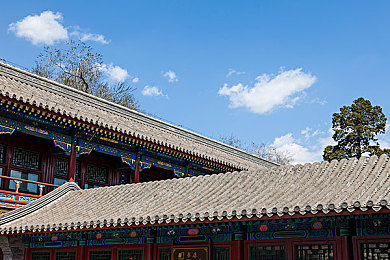 美女黄色真播,直播界新宠：真我风采引关注
