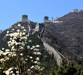 男同0高潮详细:奇幻世界情感之旅,游戏新体验来袭-1