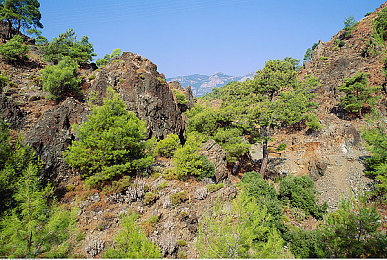 加勒比一区二区,加勒比海岛，探秘魅力天堂