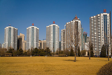 黄色app下载免费,免费游戏走红，玩法独特引关注-2
