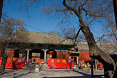 黄色APP免费,奇幻冒险免费来袭，国产游戏新宠！-1