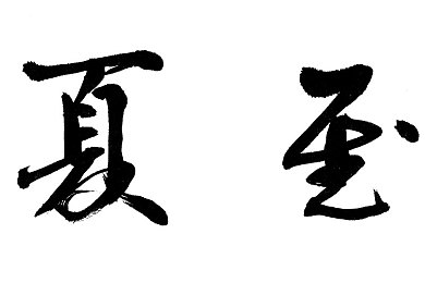 黄色3.0.3软件免费,软件免费升级，办公利器大放异彩