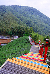 爱情岛独家,神秘岛屿揭秘：浪漫传说与爱情奇迹-3