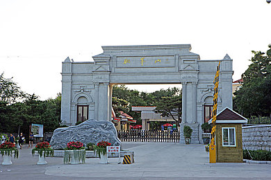 把香蕉放在桃子上会怎么样,香蕉桃子碰撞，揭秘神奇变化-1