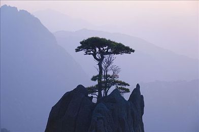 麻花传moo44苏蜜清歌,歌声传情，苏蜜清歌崛起乐坛-3