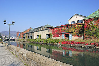 紧急大通知狼最新地域网名在线,《狼人杀》新更新，地域网名引狂欢