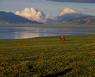 黄色app下载免费,免费游戏走红，玩法独特引关注-3