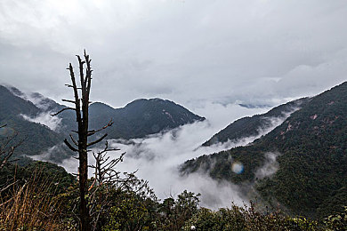 三上悠亚与渡边,日星恋情曝光，甜蜜互动引关注-2