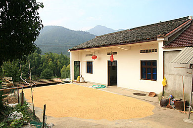 舞蹈生被揉到高潮下不了床,《舞动巅峰》高潮迭起，舞蹈竞技新体验-2
