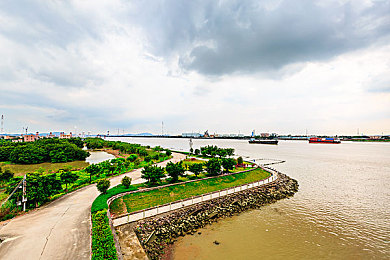 九一果冻制品厂最新电视剧何苗,都市励志剧《何苗》开播引关注-2