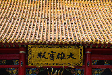 黄色下载3.0.3,下载神器升级，体验再升级-3