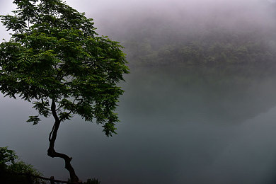老太婆扒开让我舔她下面,神秘老太婆之谜，游戏世界等你解谜-2