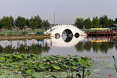 天天干,天天爽,农场奇幻之旅，乐趣无限-5