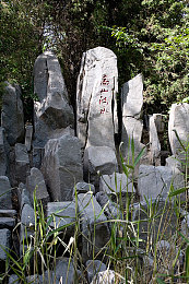 不如跳舞沙滩三个小男孩,夏日沙滩，三童舞动青春风采-2
