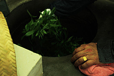 毛茸茸的妇女体内汇编,奇幻世界冒险，毛茸茸女性力量觉醒-2