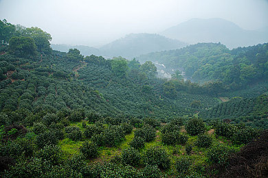 totakkahayakirguz77777游戏特色,游戏新宠：挑战无限，视觉盛宴-4