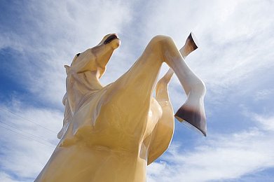 麦乐迪马克斯:音乐冒险新宠,画面动感抢眼-3