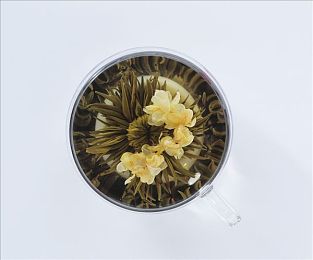 张柏芝跪着给陈冠希囗交:张柏芝陈冠希视频曝光,真相成谜-2