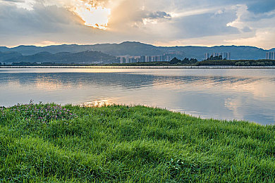 1995年意大利版泰山,意版《泰山》经典再现，浪漫冒险触动心灵-2