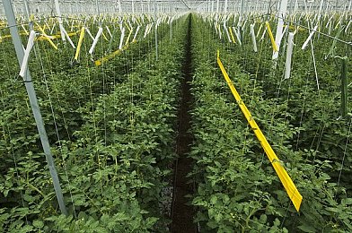 阿娇与陈冠希13分钟49秒的特点,游戏新宠：情感互动，挑战无限-3
