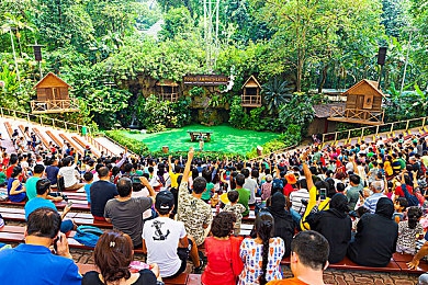巨大根茎女同3d动漫,奇幻世界中的情感之旅-1