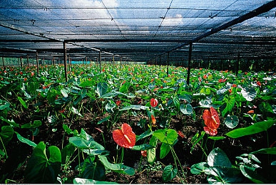 揉 啊 嗯～出水了玩具,神奇互动玩具走红，寓教于乐引关注-4