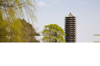 sooo.tv网站,奇幻世界新游来袭，冒险等你来挑战-2