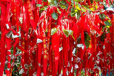 张雨欣惊艳照片大全,新生代女神张雨欣美照曝光-4