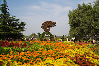 久久五月丁香,花海秘境，诗意盎然-3