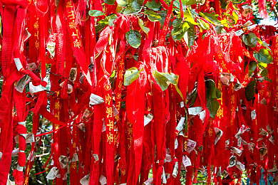 业余的自由性性别,性别自由新游，探索奇幻世界-3