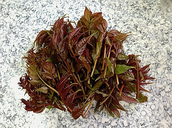 受虐狂 极端 奴役 折磨,揭秘“受虐狂”：心理成因与影响-3