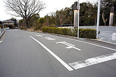 一区二区三区黄,历史穿越，四区争霸，游戏新宠来袭-2