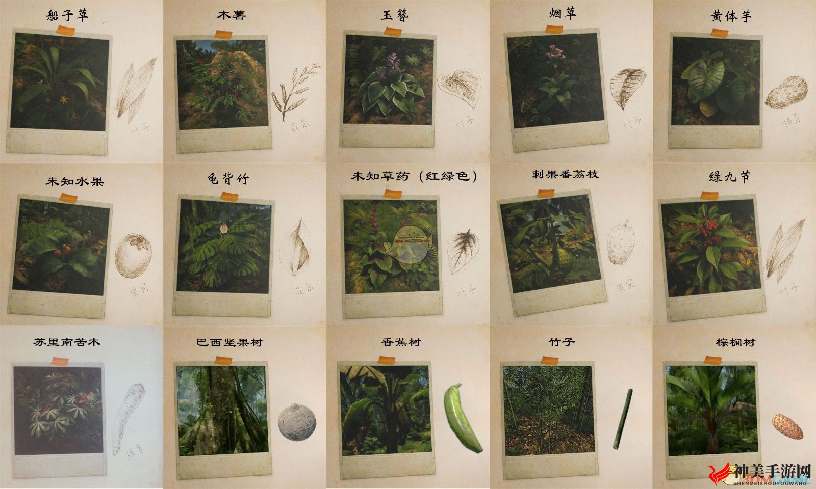 《绿色地狱》种植植物成就完成方法分享
