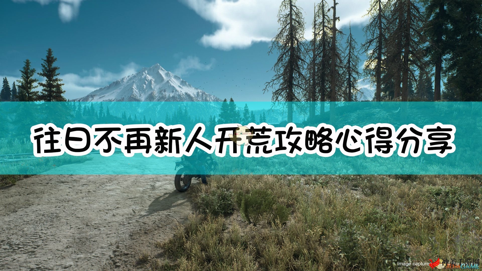 《往日不再》新人开荒攻略心得分享