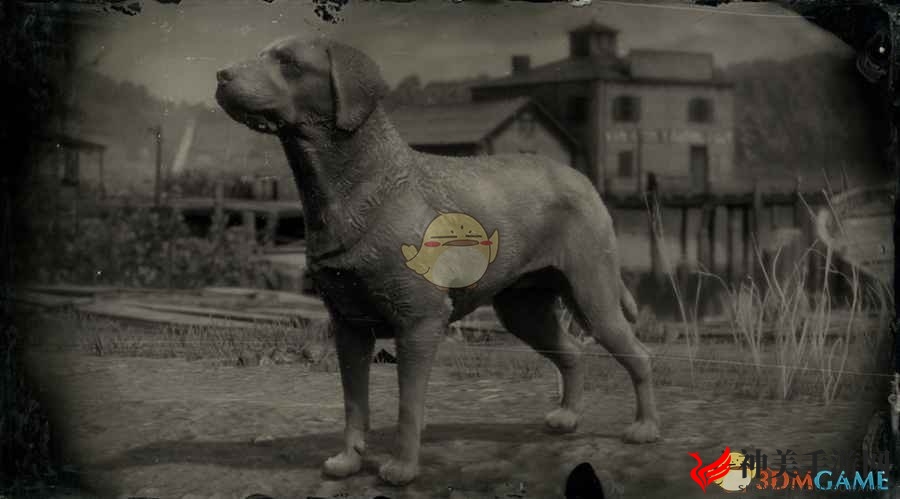 《荒野大镖客2》杂种犬图鉴一览